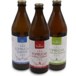 Pit&Pit Artisanale Special Kombucha 'Rooibos' bio New