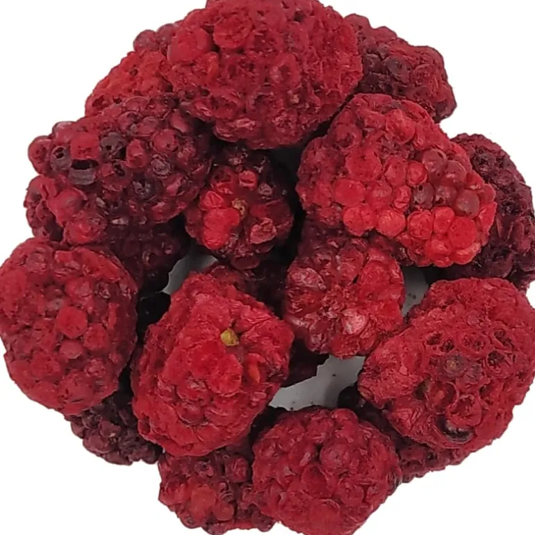 Pit&Pit Braambessen gevriesdroogd Online