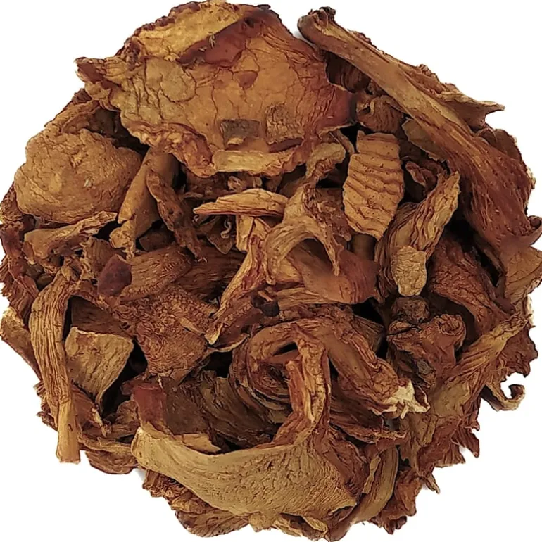 Pit&Pit Cantharellen bio Best