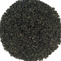 Pit&Pit Chinese prei kiemzaden Hot