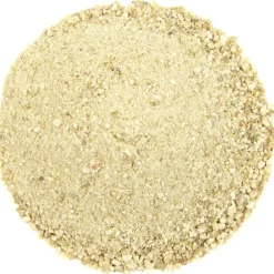 Pit&Pit Citroenschillen gemalen Store