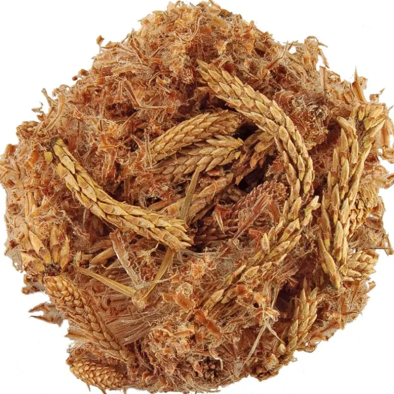 Pit&Pit Dennenknoppen Cheap