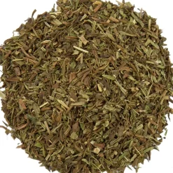 Pit&Pit Dragon Best Sale