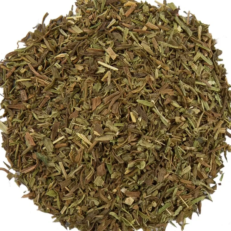 Pit&Pit Dragon Best Sale