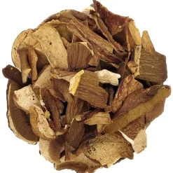 Pit&Pit Eekhoorntjesbrood bio Cheap