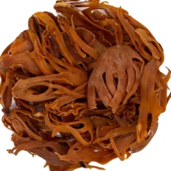 Pit&Pit Foelie heel bio Store