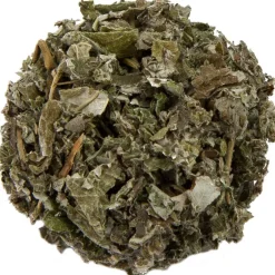 Pit&Pit Framboosblad Flash Sale