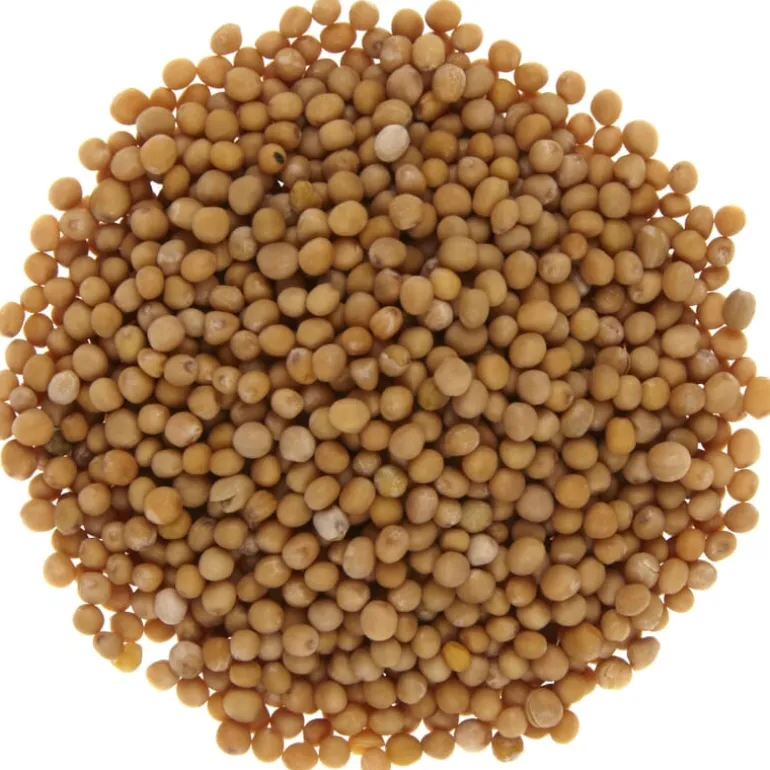 Pit&Pit Geel mosterdzaad bio Cheap