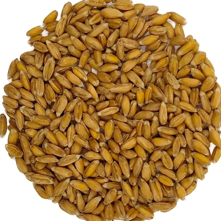 Pit&Pit Gekiemde spelt bio Cheap