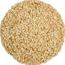 Pit&Pit Geroosterd sesamzaad bio Shop