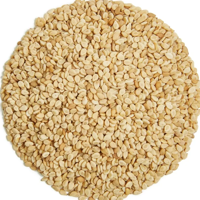 Pit&Pit Geroosterd sesamzaad bio Shop