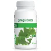 Pit&Pit Ginkgo biloba capsules bio Online