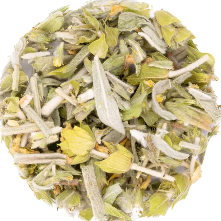 Pit&Pit Griekse bergthee bio Shop