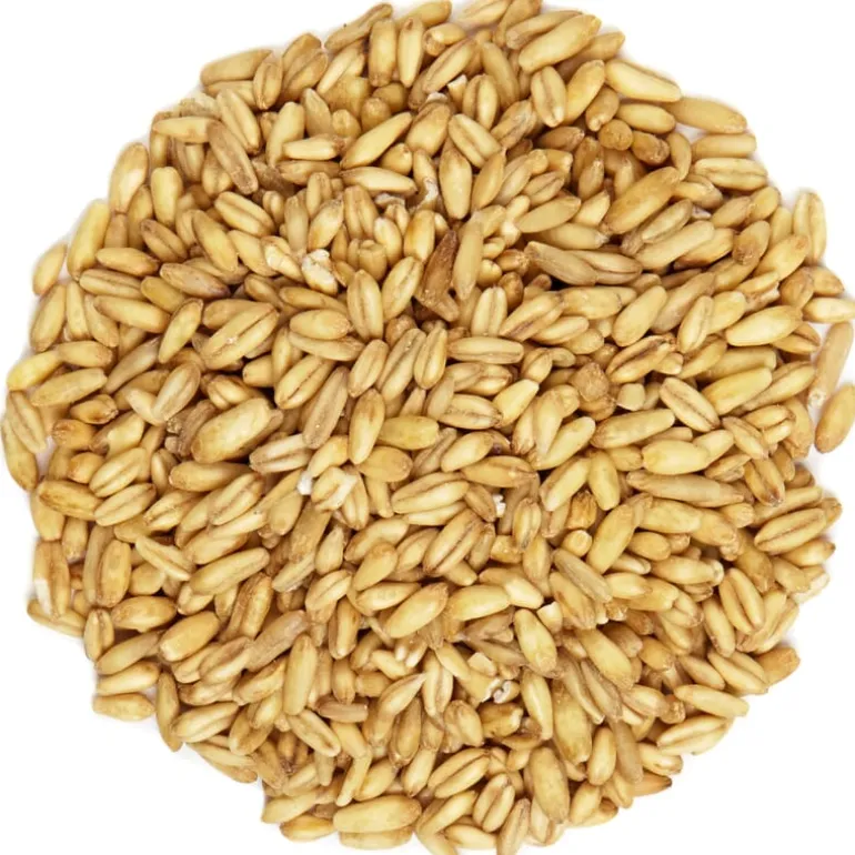 Pit&Pit Haver gepeld bio Discount