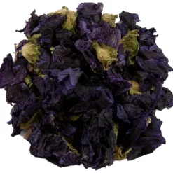 Pit&Pit Kaasjeskruid bloem Outlet