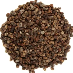 Pit&Pit Kardemom zaadjes Cheap