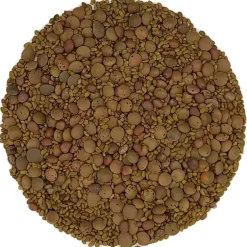 Pit&Pit Kiemzaden mix bio Hot