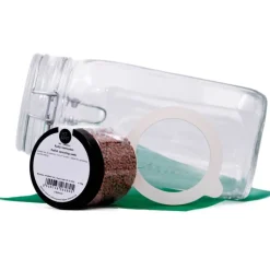 Pit&Pit Kiemzaden starterkit Discount