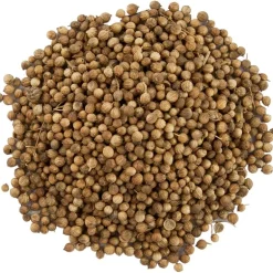 Pit&Pit Korianderzaad Cheap