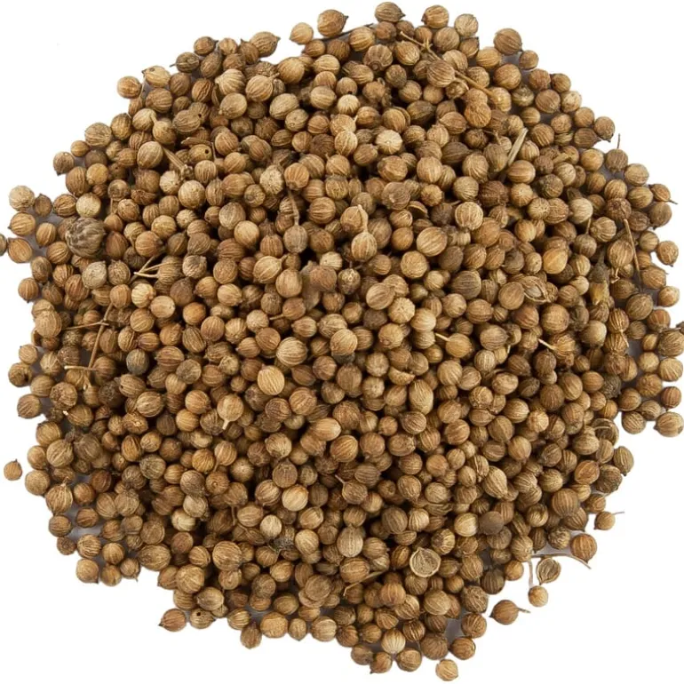 Pit&Pit Korianderzaad Cheap