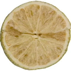 Pit&Pit Limoen schijfjes gevriesdroogd Best Sale