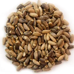 Pit&Pit Mariadistel zaad Hot