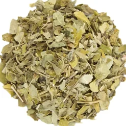 Pit&Pit Moringa Outlet