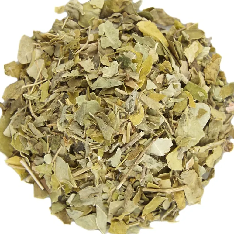 Pit&Pit Moringa Outlet