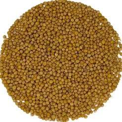 Pit&Pit Mosterd kiemzaden bio Sale