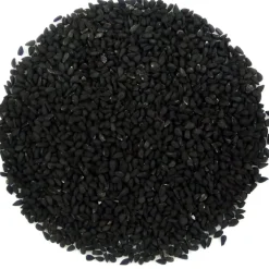 Pit&Pit Nigella Fashion