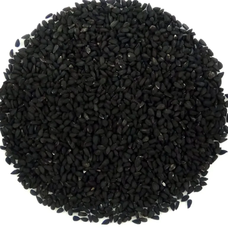 Pit&Pit Nigella Fashion