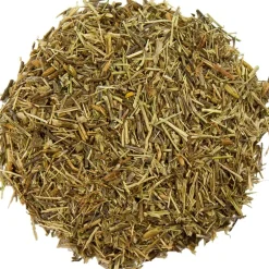 Pit&Pit Ogentroost New