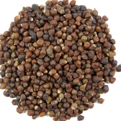 Pit&Pit Paradijszaad Outlet