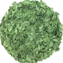 Pit&Pit Platte peterselie bio Fashion