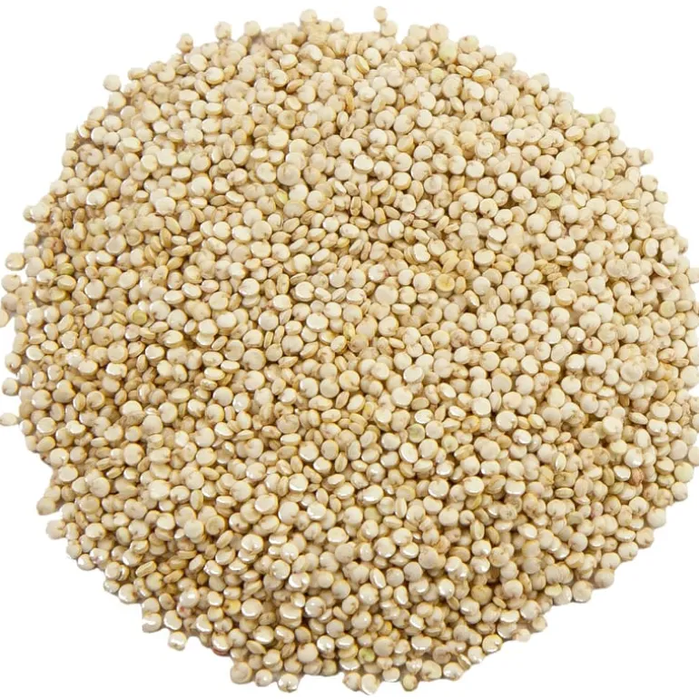Pit&Pit Quinoa bio New