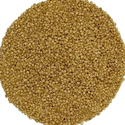 Pit&Pit Quinoa uit België bio Shop