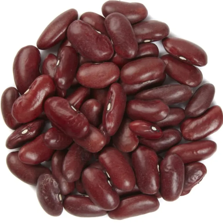 Pit&Pit Rode kidneybonen bio Cheap