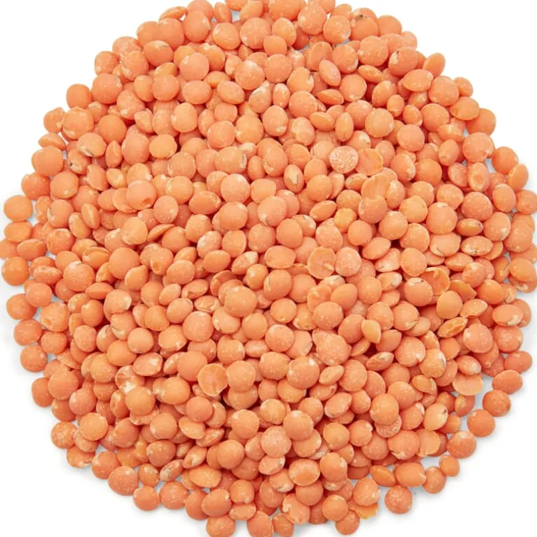 Pit&Pit Rode linzen bio Cheap