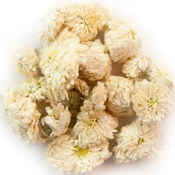 Pit&Pit Roomse kamille Best