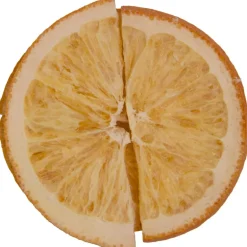 Pit&Pit Sinaasappel schijfjes gevriesdroogd Hot