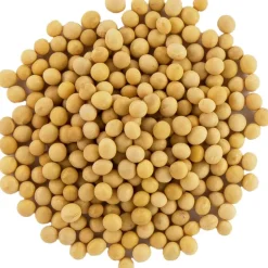 Pit&Pit Sojabonen bio Fashion