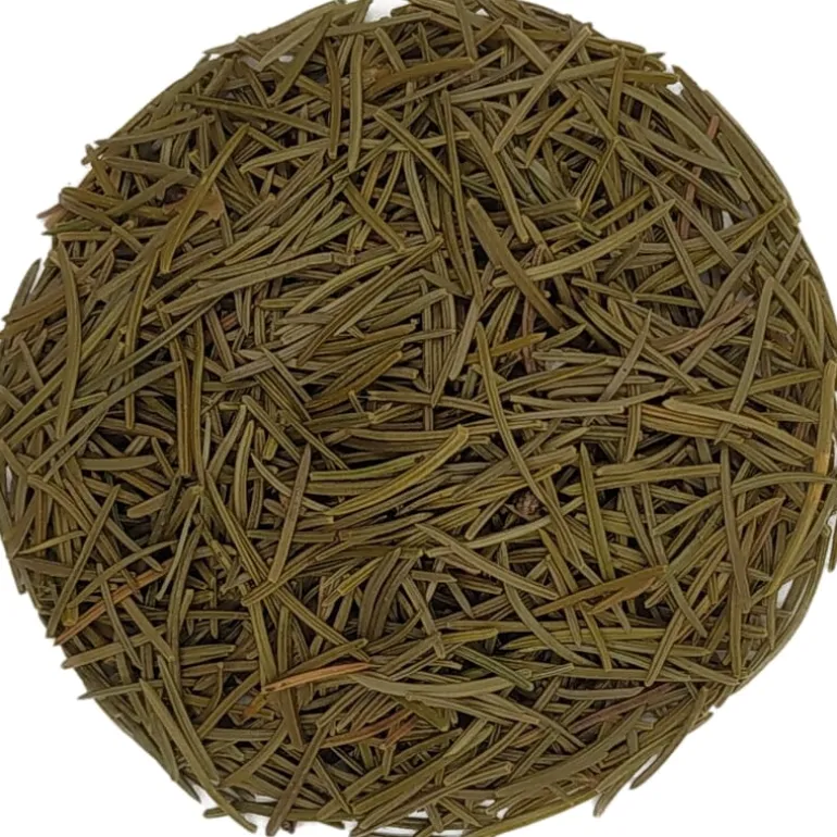 Pit&Pit Sparrennaalden New