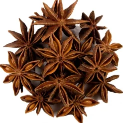 Pit&Pit Steranijs Discount