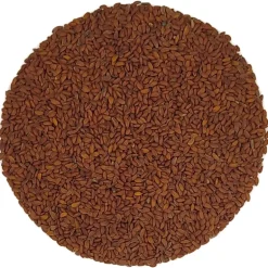 Pit&Pit Tuinkers kiemzaden Flash Sale