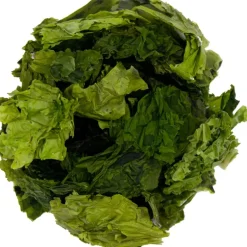 Pit&Pit Zeesla bio Store