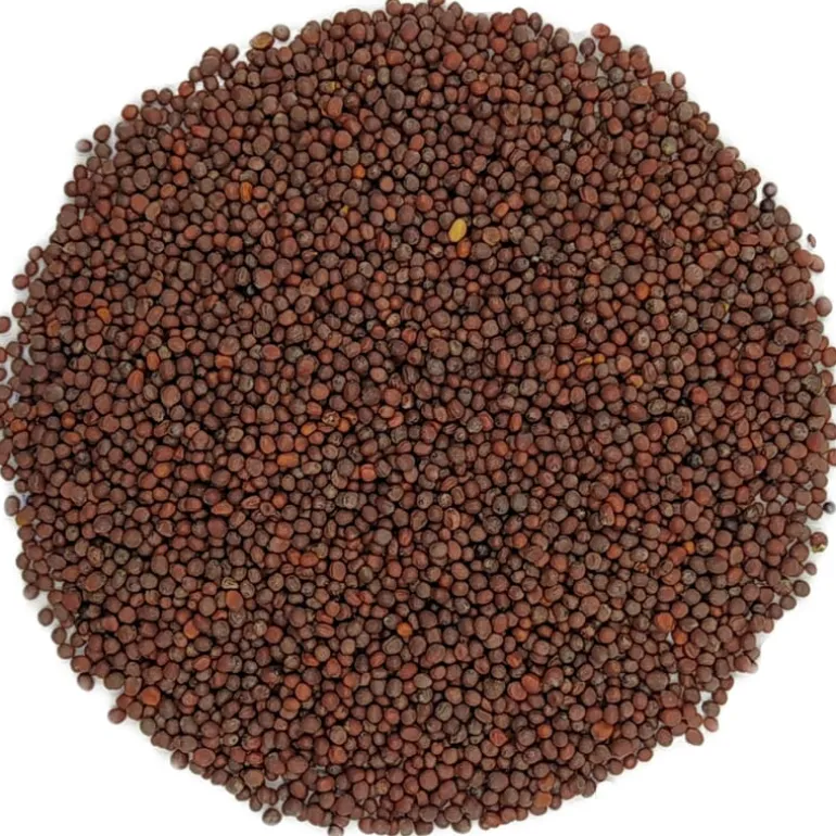 Pit&Pit Zwart mosterdzaad bio Cheap